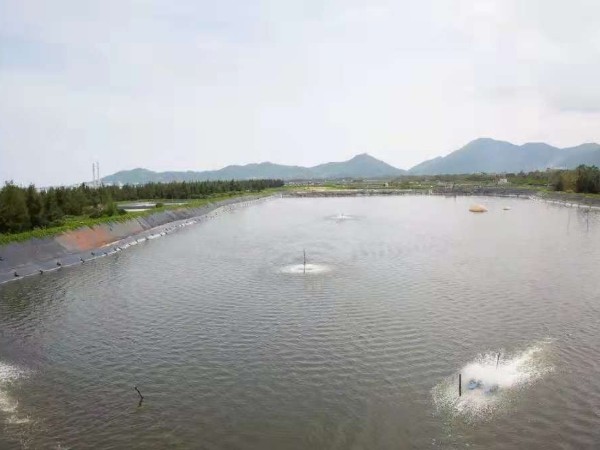 淺要分析氨氮毒理?。?！